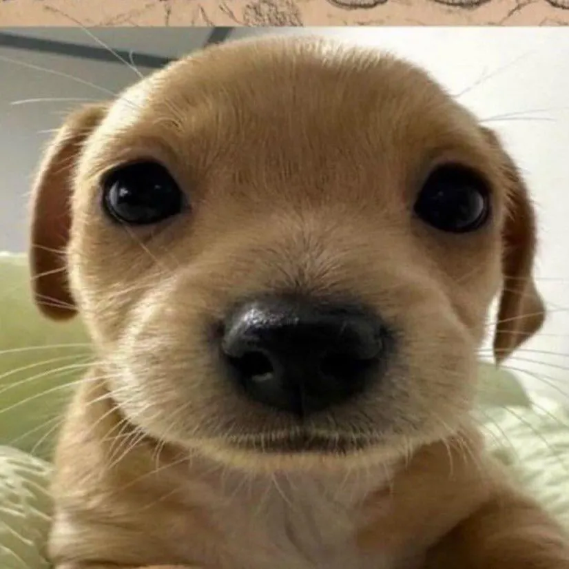 Muffyuh