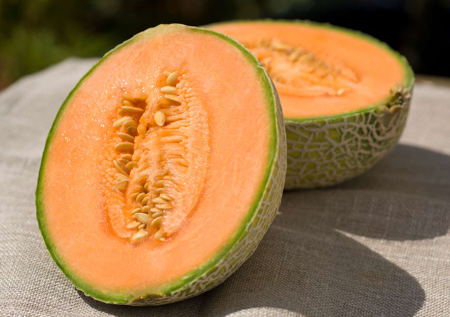Cantaloupelover