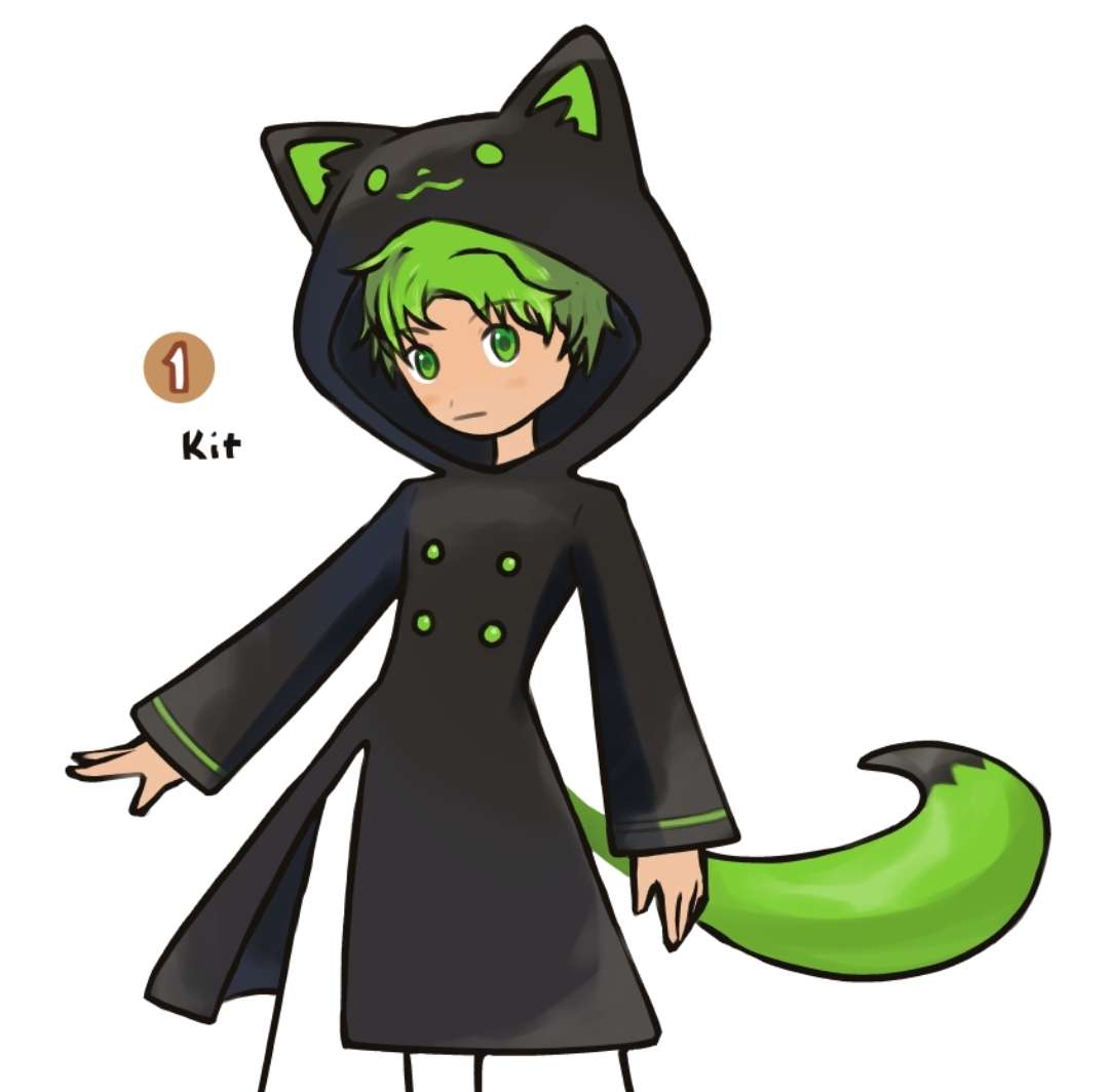 Stray's heaven studio co owner 