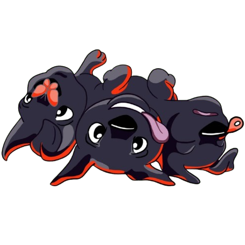 Cerberus