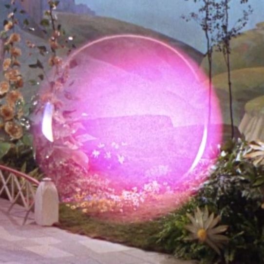 Saashni (Sasha) Shan