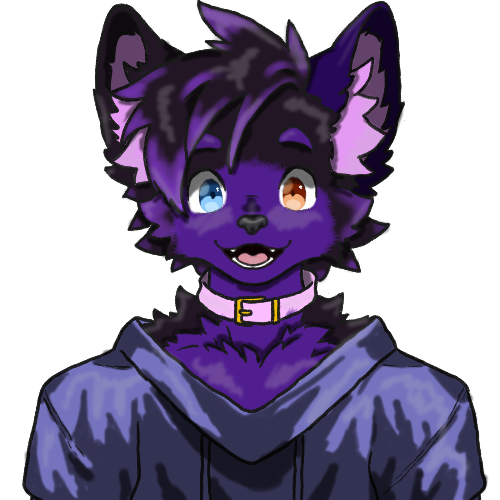 crazycavan66