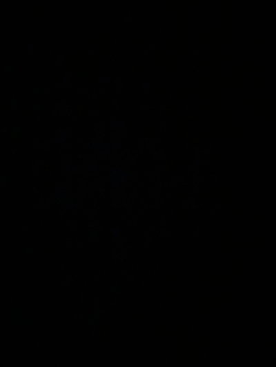 User_00000