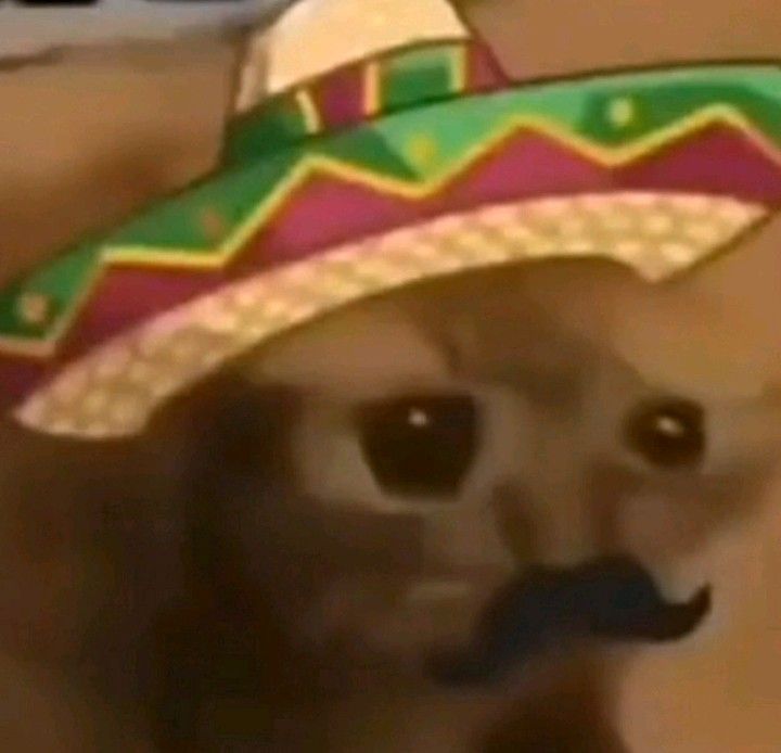 Gyro
