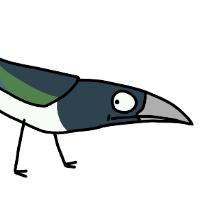 SillyMagpie