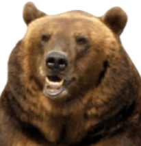 justanactualrealbear (Jeff)