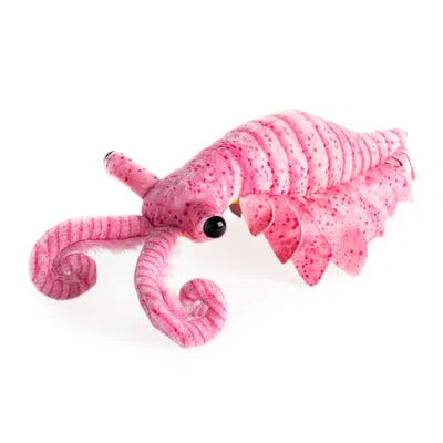 fanomalocaris