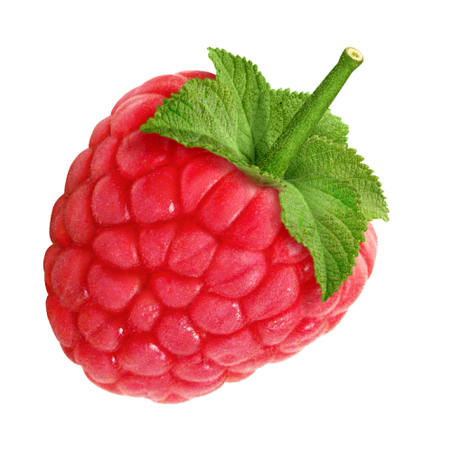 Berry