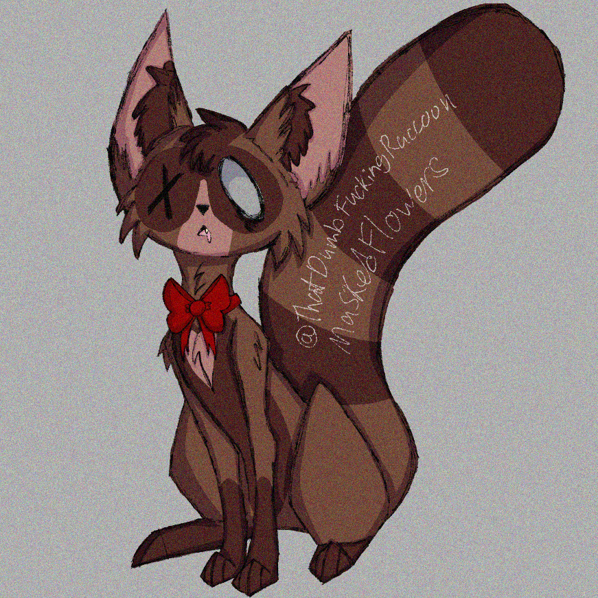 Mask /Dumb Raccoon