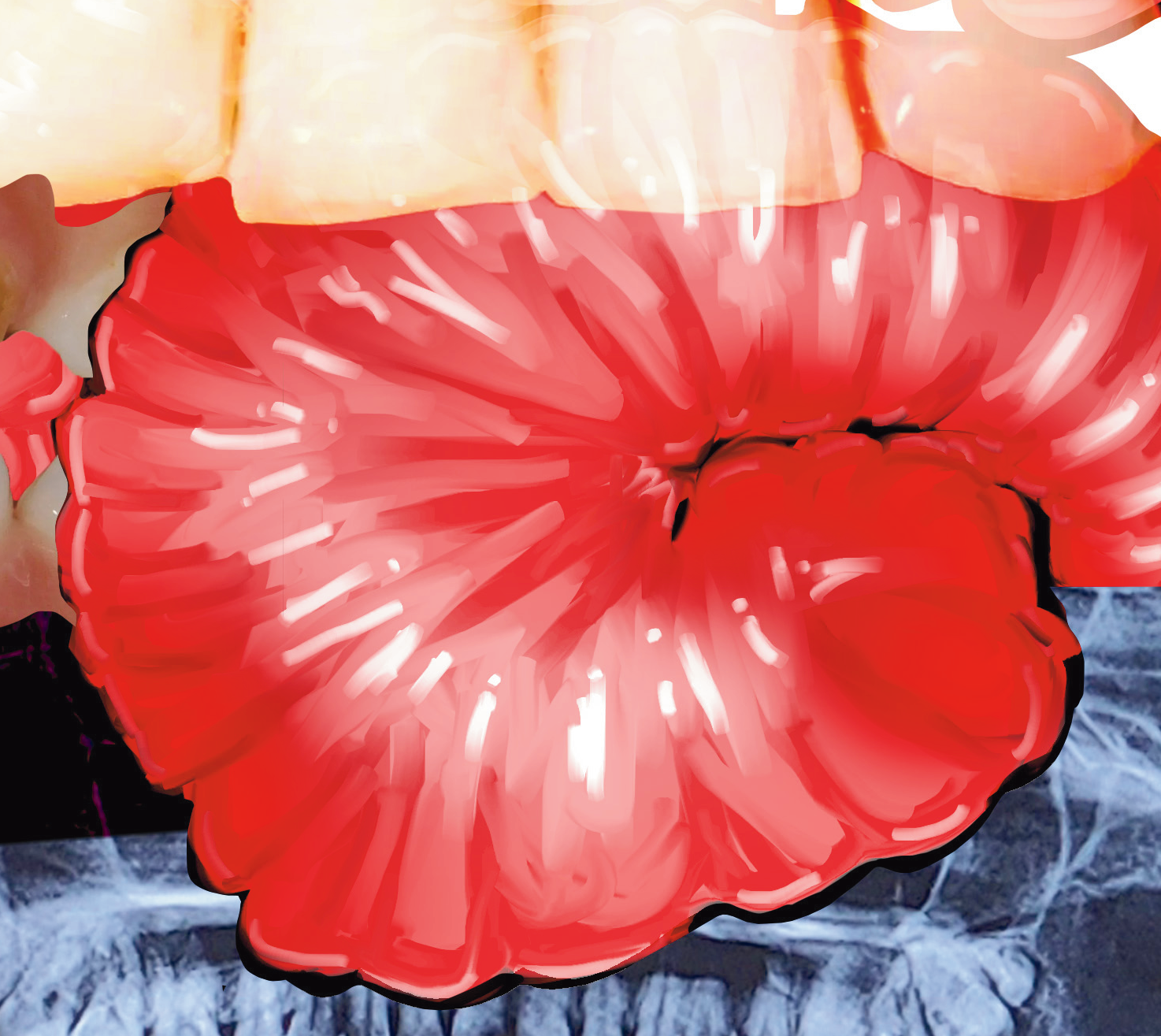 ROT