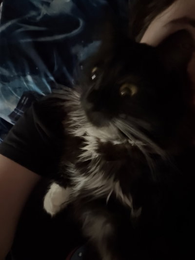 Kurt