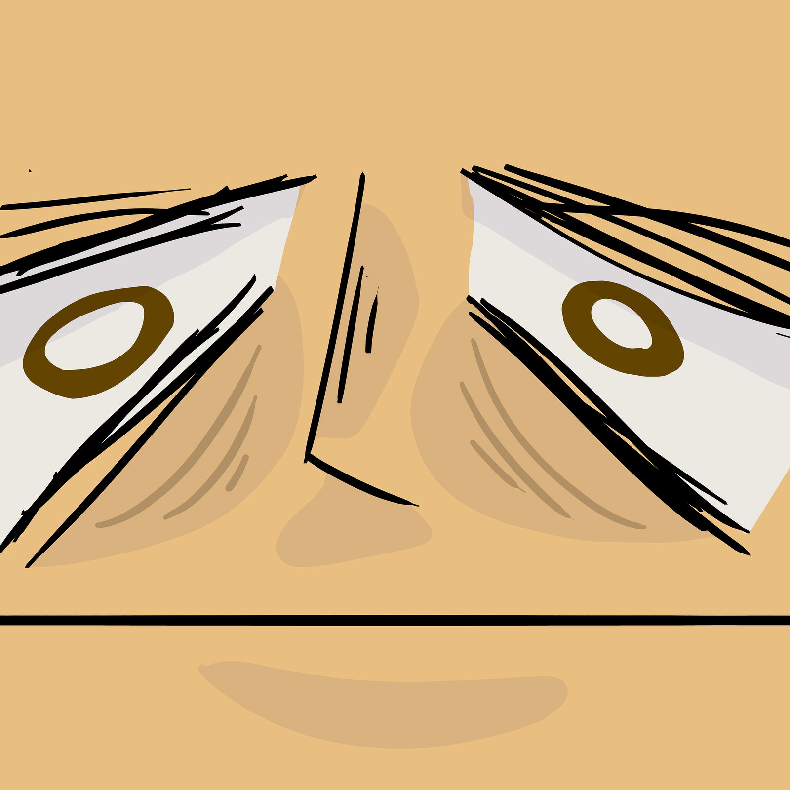 Bruno Misawa Marcondes