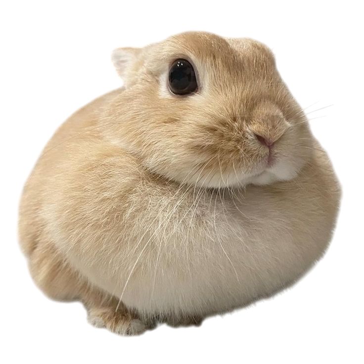 MIN