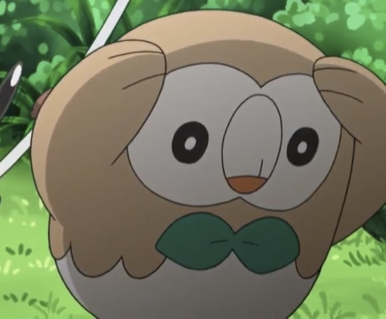 HoneyHoot