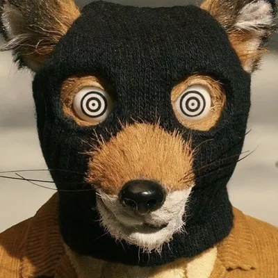 Mr.Fox