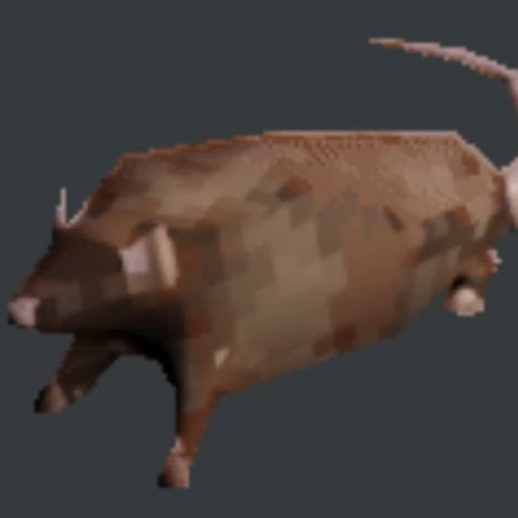 Billbo505