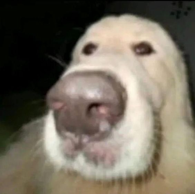 xast