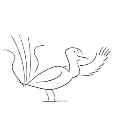 LinguaPhiliax