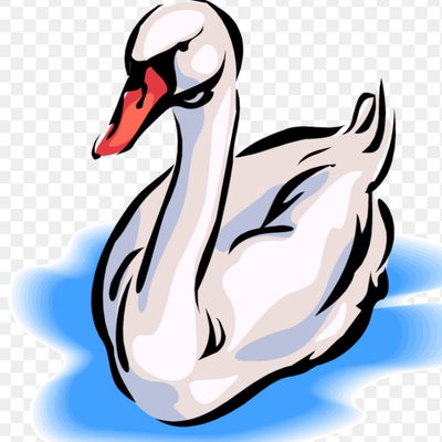 TheSwannVA