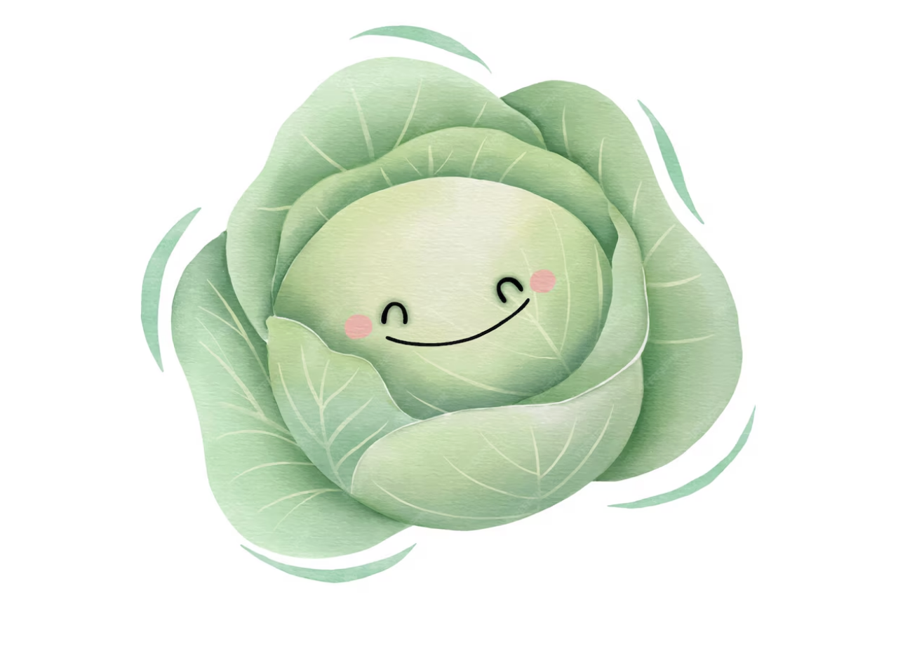 Cabbage