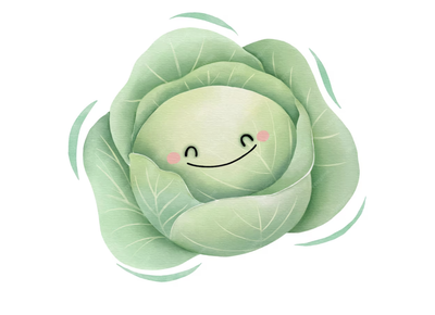 Cabbage