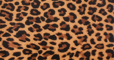 Bijou