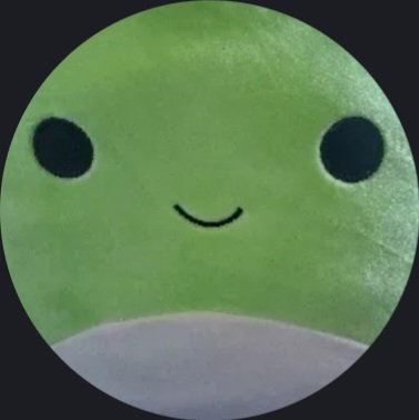 SHDWstorm