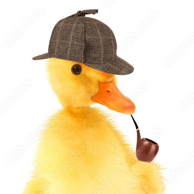 ADuckOnQuack