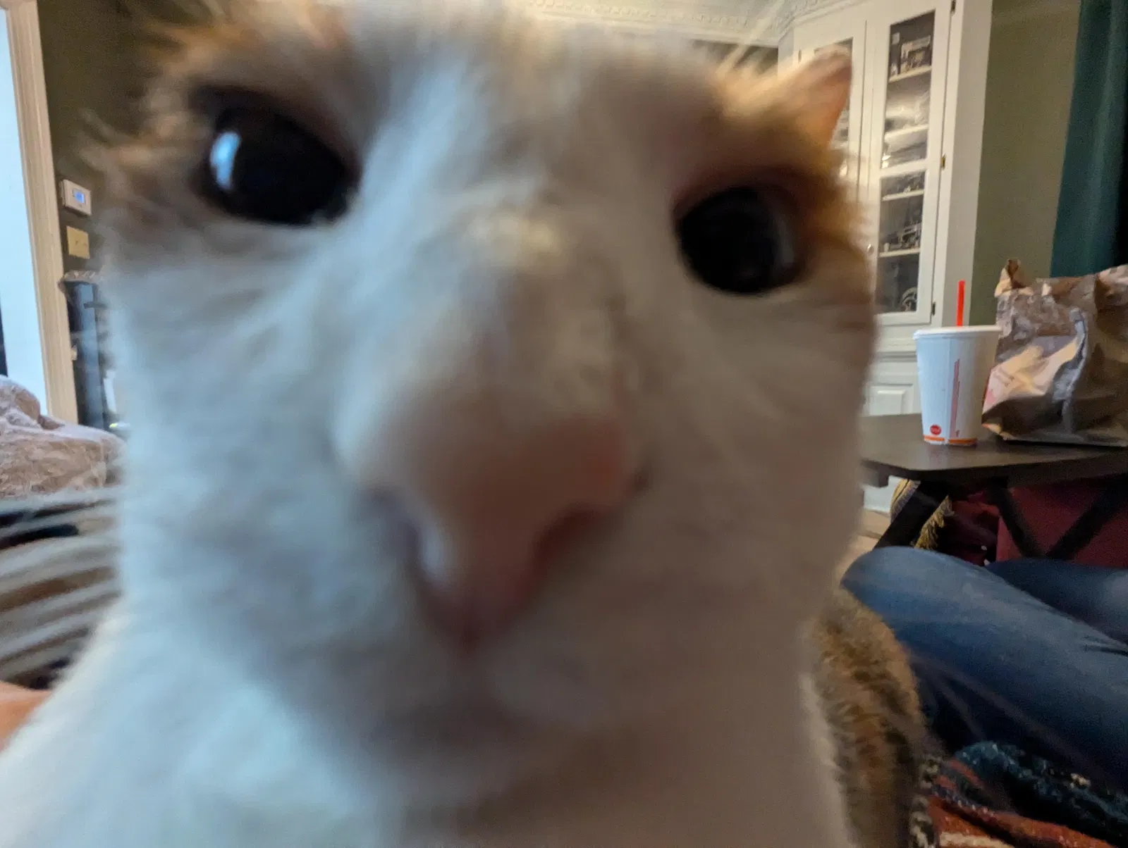 dan