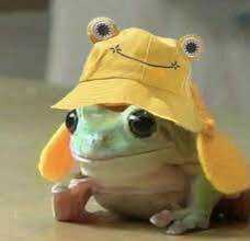 froggie