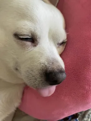 Kev