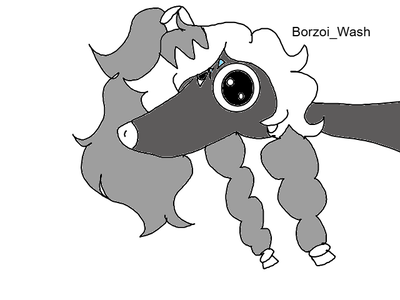 Borzoi_WashVA