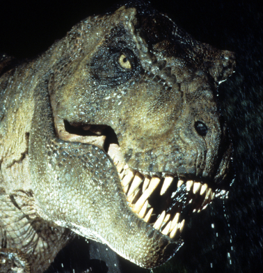 Mr. Rex