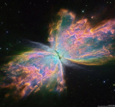 The_Starry_Butterfly