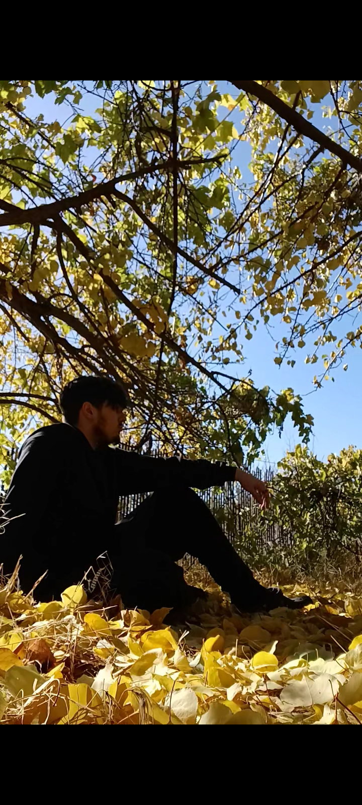 AJ_cxv