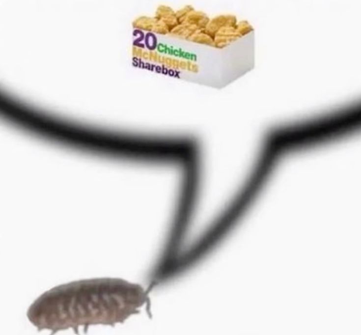 ⋆˚࿔ light 𝜗𝜚˚⋆