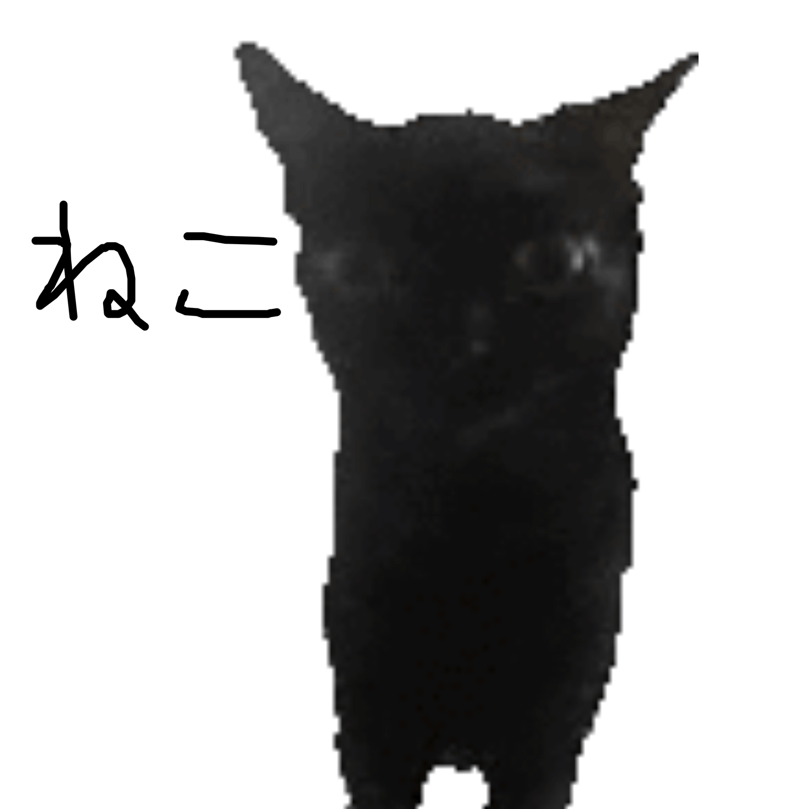Isaka Lee