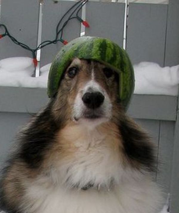 Dillon