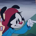 Wakko