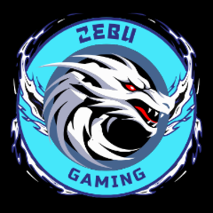 ZeBu