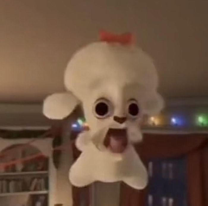 CJ