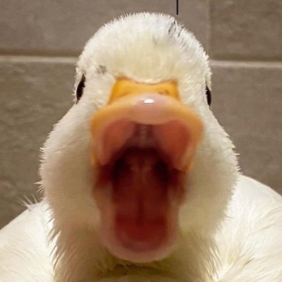 oid