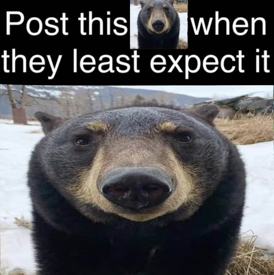 TheInternetRoamer