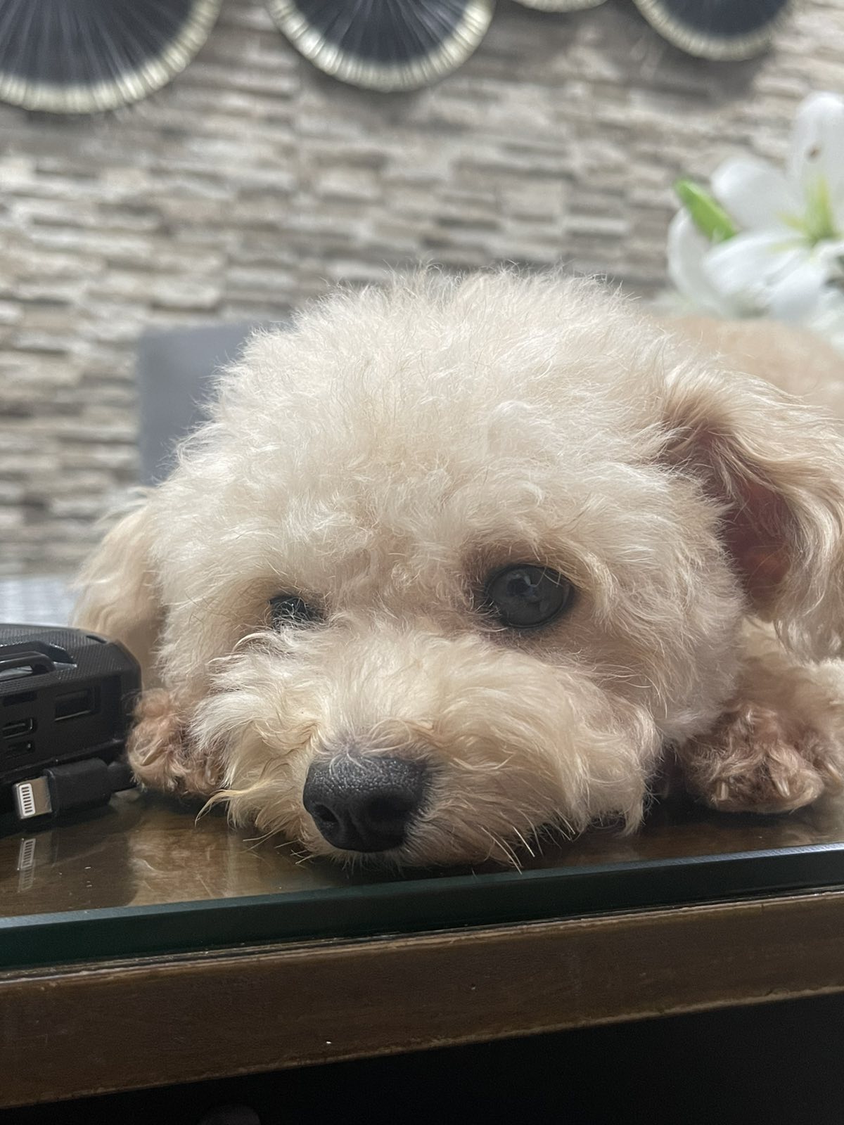Joe
