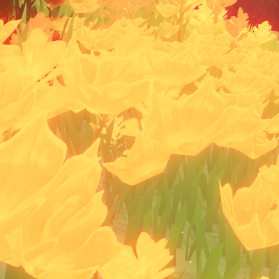 Aster