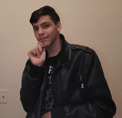 sTsDarkxwolf17
