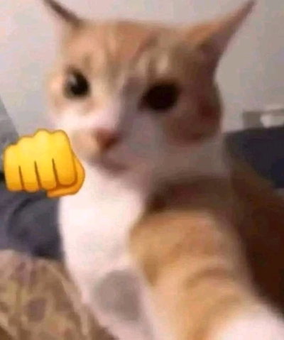 Bot