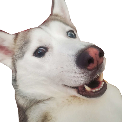 AC