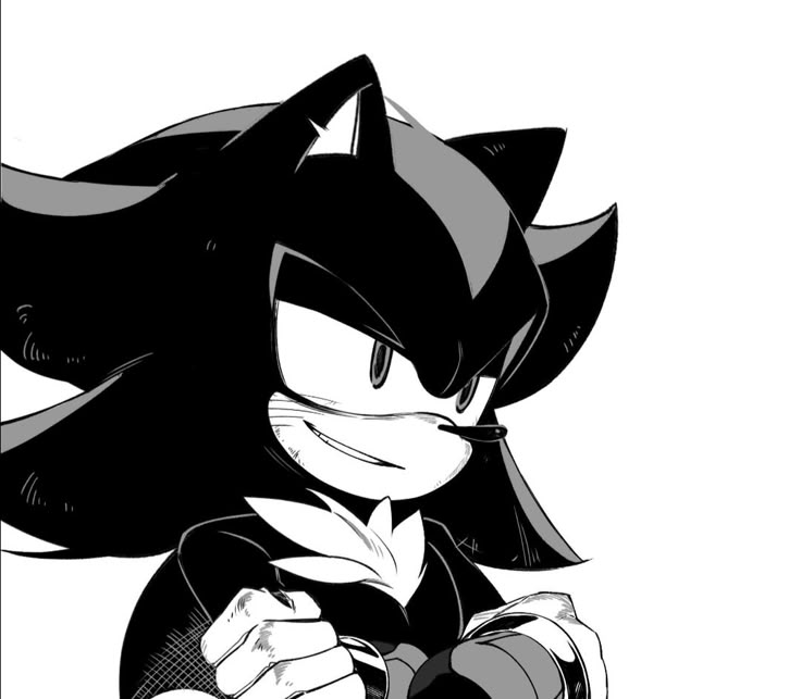 Sae Vox