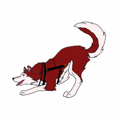 Kodiak Seppala